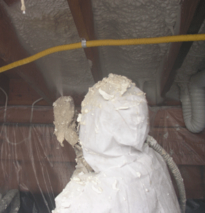Joliet IL crawl space insulation